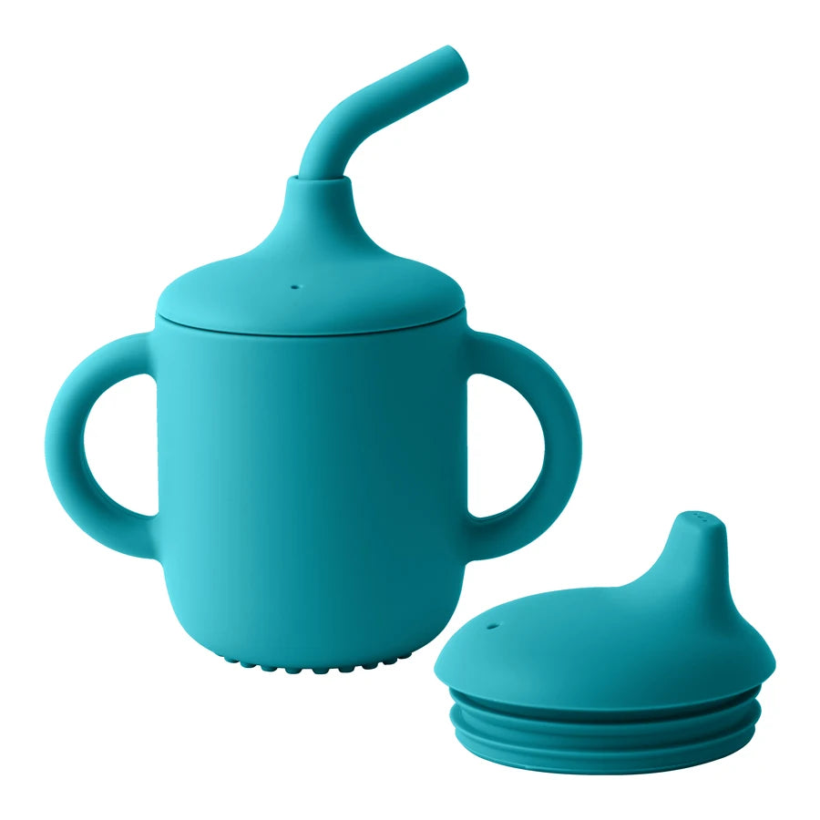 Sippy & straw cup BASIC