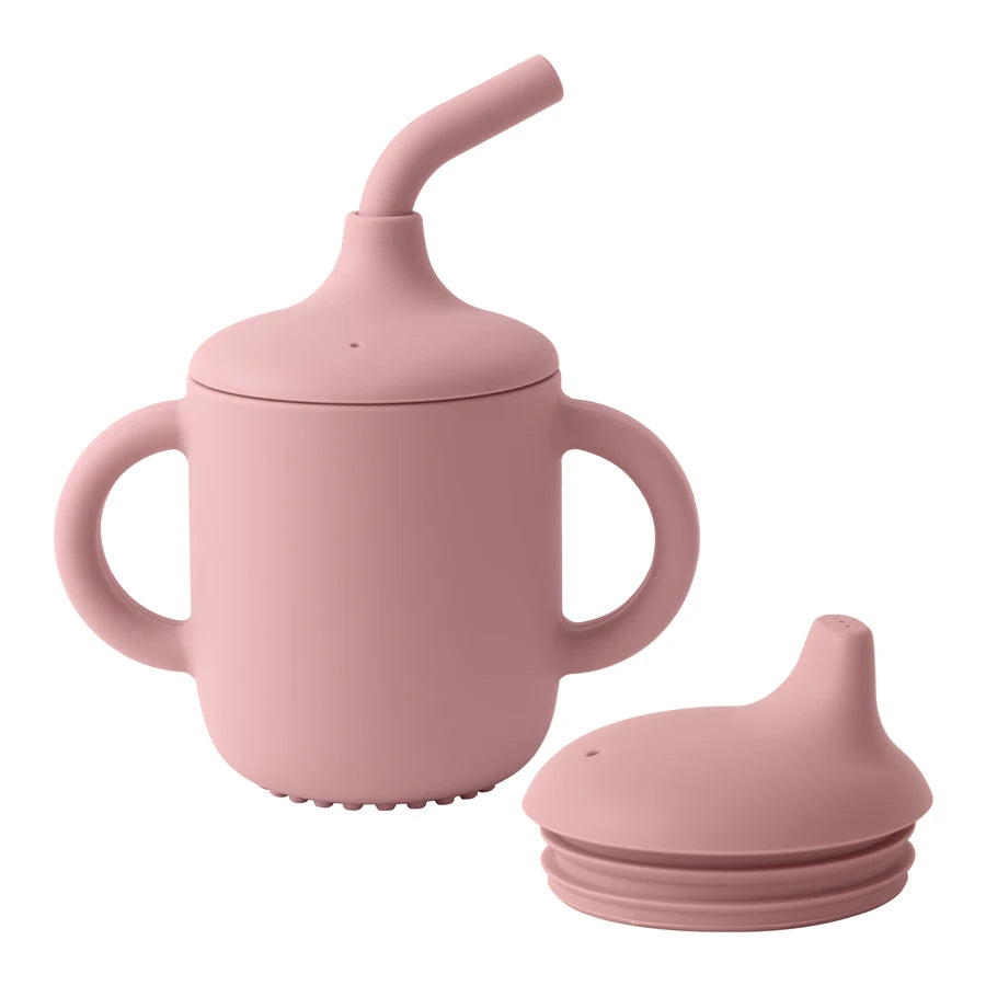 Sippy & straw cup BASIC