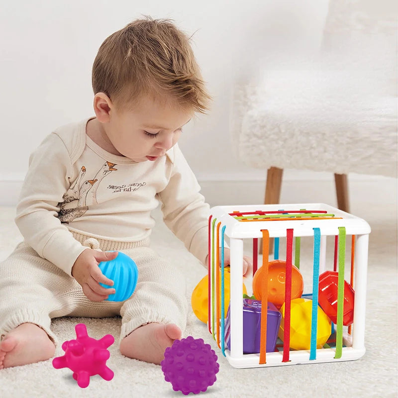 Montessori Toys Children 0-12 Months Early Education Rainbow Cesare Enlightening and Grasping Sensory Training Baby Toys Plastic