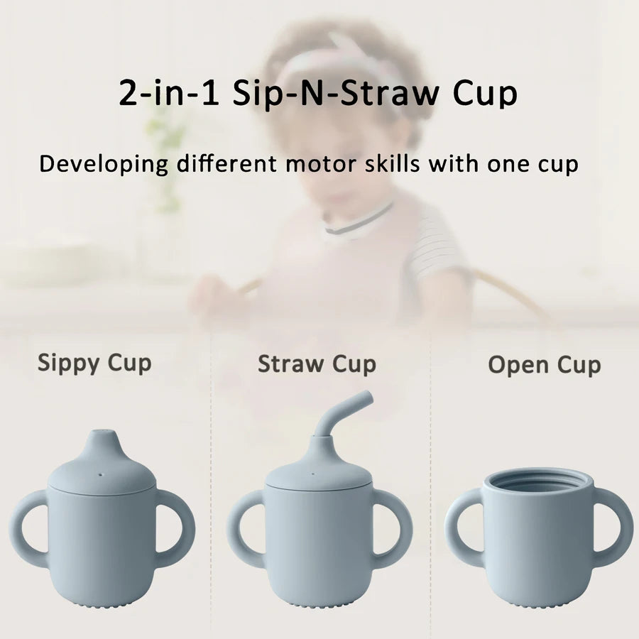 Sippy & straw cup BASIC