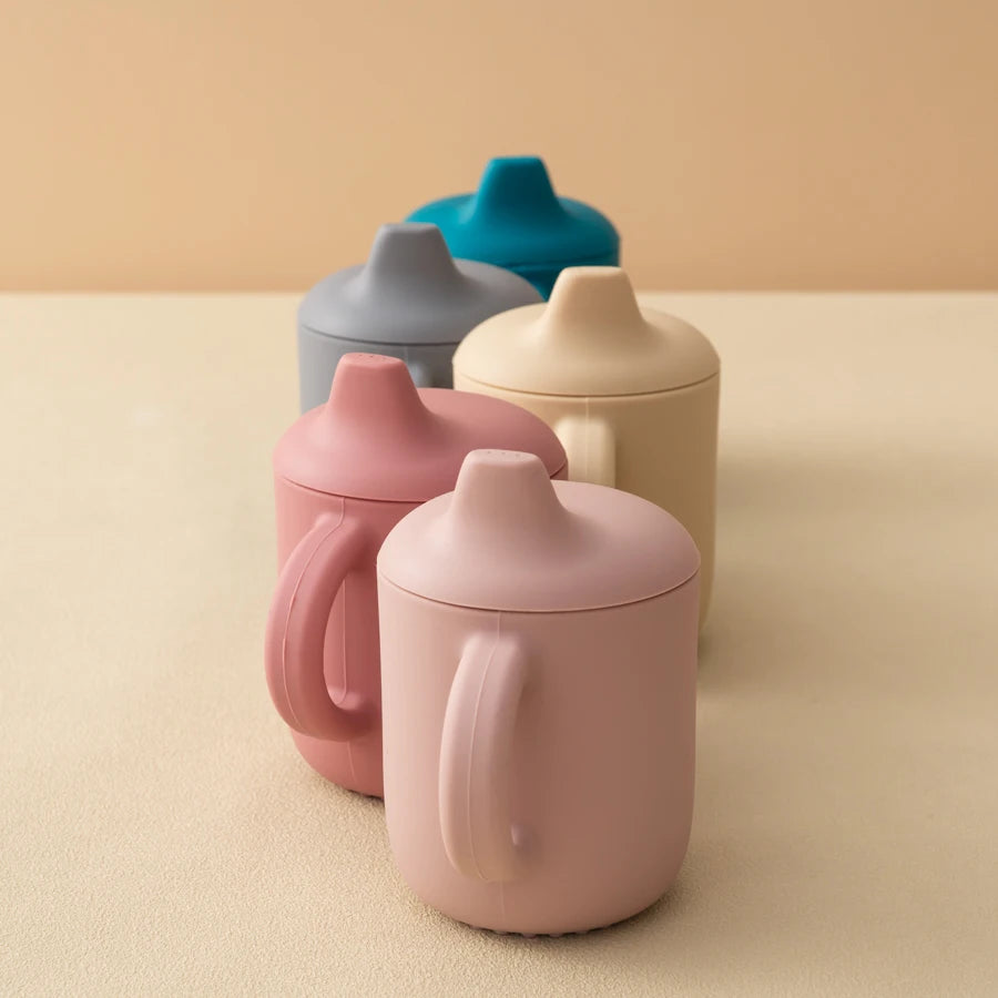 Sippy & straw cup BASIC